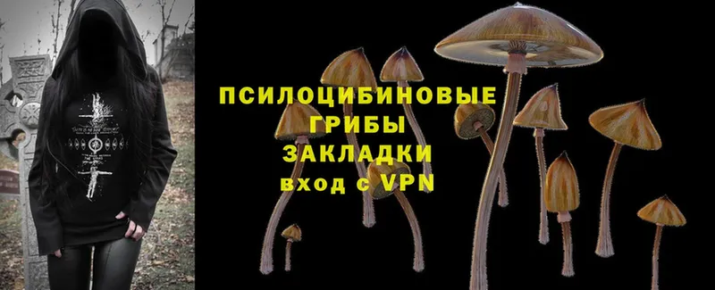 Купить Берёзовский COCAIN  Мефедрон  Гашиш  Галлюциногенные грибы  Каннабис  A-PVP 